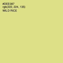 #DEE087 - Wild Rice Color Image